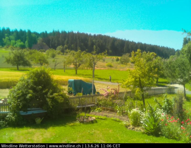 no webcam image available